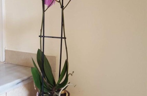 Petralona Apartment | LikeHomeFor2, Athens, Near Metro & Acropolis