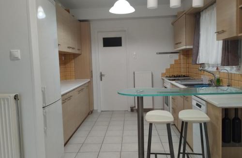 Karlovassi Apartment | Little Citrus Yard