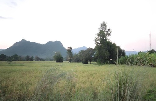 Nakhon Nayok Resort | Loft Village