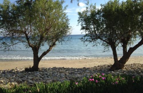 Makry Gialos House | Luxury house Makry gialos 200m to the beach 6 pers