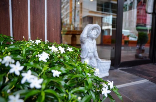 Bang Chak Hotel | Marsi Hotel Bangkok