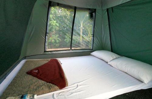 Ou Chum Cabin | Molyka Lodge