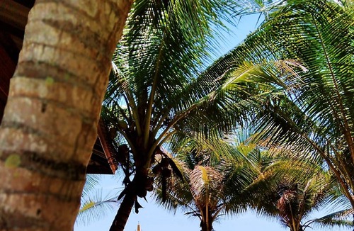 Ban Samphao House | Natural High Beach Cafe & Homestay