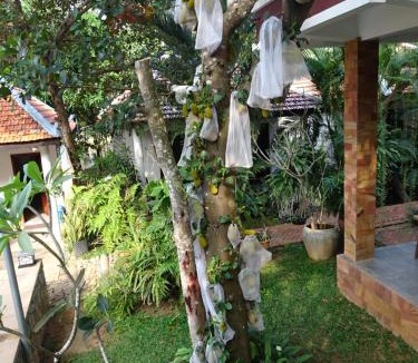 Krong Kaeb House | Neang Aun Kep