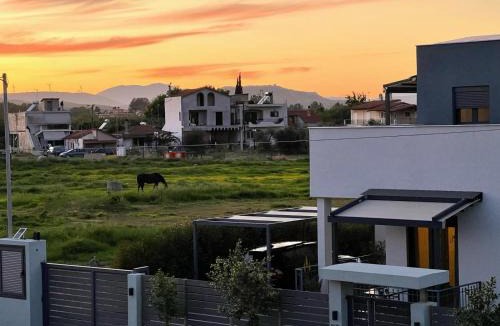 Katochi Villa | Neo-Residence