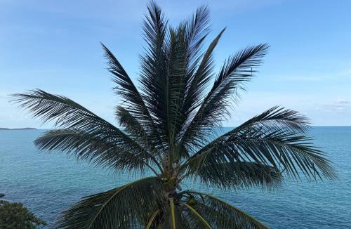 Lamai Cabin | Noahs Ark Beach