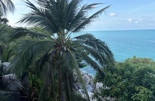 Lamai Cabin | Noahs Ark Beach