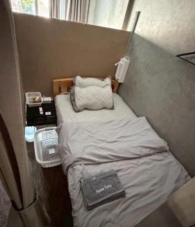 Wua Lai Hostel | Nonoteru Chiangmai , KamPhaengDin