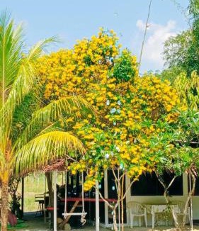 Sa Khu House | OASIS Phuket Airport