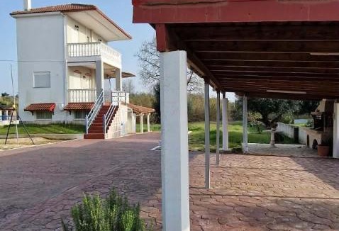 Zalongo Apartment | Olive Tree Villa