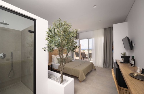 Naxos Hotel | Olive Vista Suites