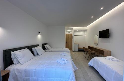 Archaia Olympia Hotel | Olympian Altis Hotel