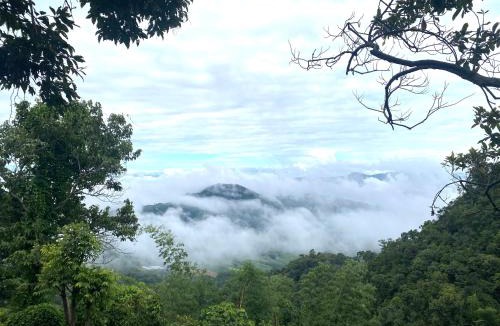 Chiang Rai Province Villa | One villa coffee farm stay 2