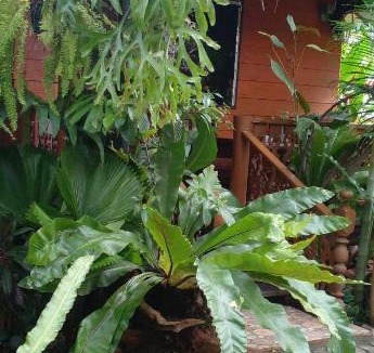 San Pu Loei Other | ouychai resort home stay