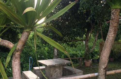 Wiang Chiang Rung House | Paa & Michaels Resort