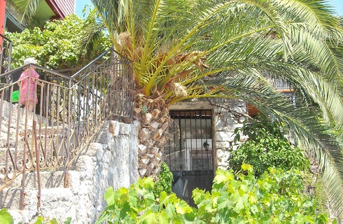 Mithimna Apartment | Palm Tree Apartment Central Molivos apartment with panoramic views