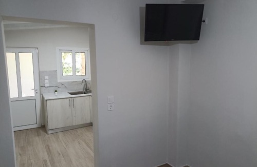 Arcoudi Apartment | palm-tree