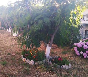 Paleopoli House | Panorama Palaiοpolis