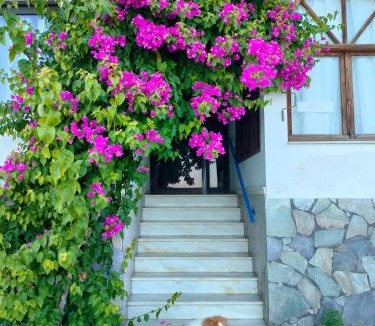 Imathia Region House | Papas Rooms on the Seafront
