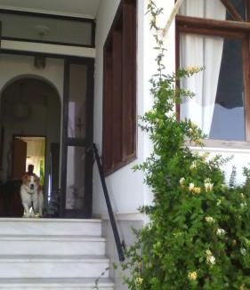 Imathia Region House | Papas Rooms on the Seafront