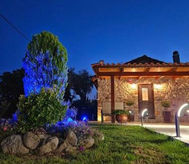 Mindiloglion House | Patras stonehouse with large yard - Πέτρινο σπίτι με αυλή