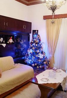 Zitsa Apartment | Pavlos House
