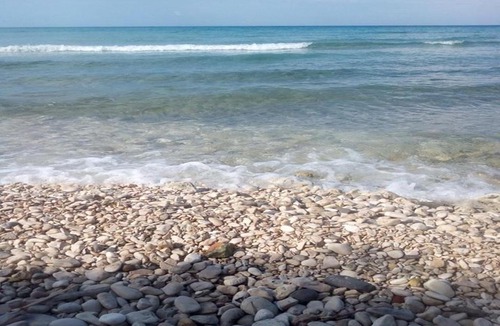 Drosia House | Pelagion II Sea Coral - Beachfront holiday home