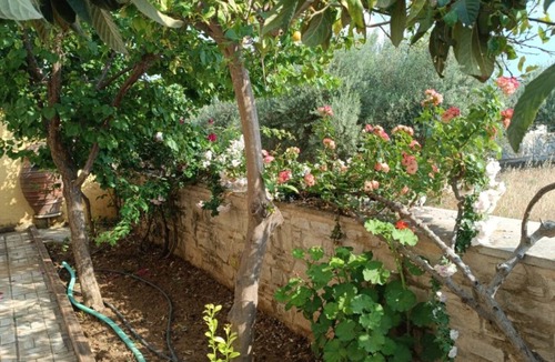 Kappariana House | Petrini Villa 3 bedroom with private pool in Moires