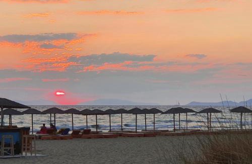Larissos House | PETROS ROOMS to LET KALOGRIA BEACH