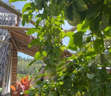 Mai Khao Other | PhuketAirportCamping