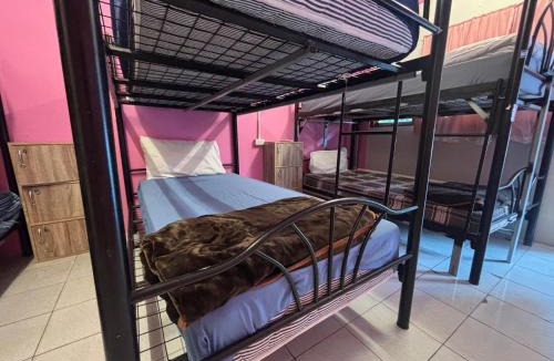 Koh Tao Hostel | Pink Hostel