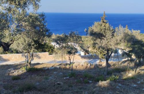 Skinaria Other | Plot to rent