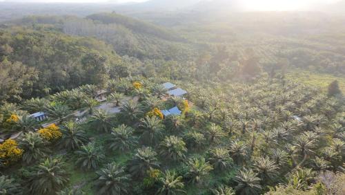 Ban Ta Khun Other | Por Sampao Camp&Resort