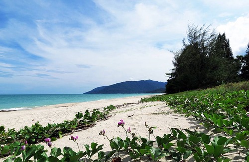 Khanom Resort | Private room ∙ 3 guests