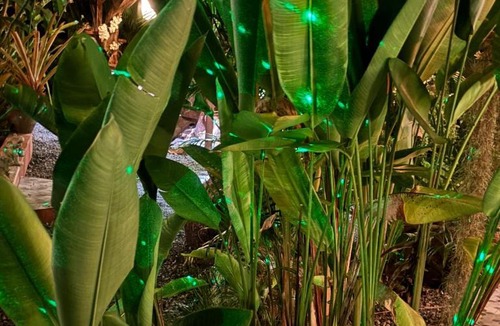 Khuk Khak Beach House | RELAX ECO Life Center-Khao Lak
