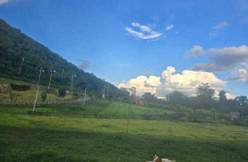 Pong Ta Long Apartment | Riverhill khaoyai Camping
