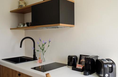 Finikia Apartment | Ryolithos Suites