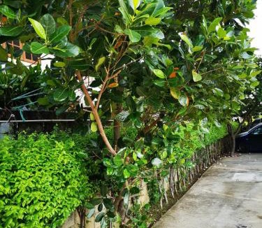 Suphan Buri House | Sab Suwarn Mansion