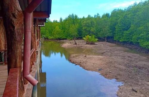 Sai Thai Other | saithai forest homstay