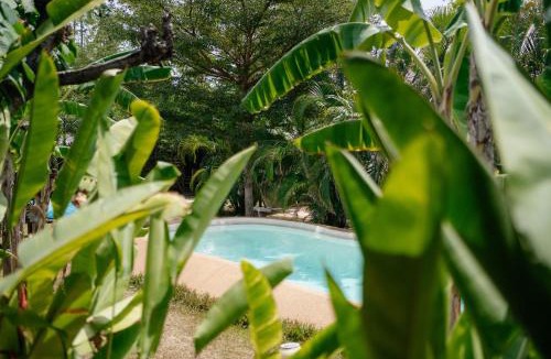 Mae Nam Bed & Breakfast | Samui Blue Bird