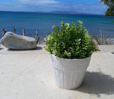 Exomvourgo House | 'Sea front' Rose's house