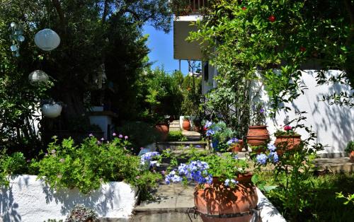 Gerakini House | Sonia's House with Garden
