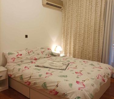 Kypseli House | Spacious Double room in the Center of Athens