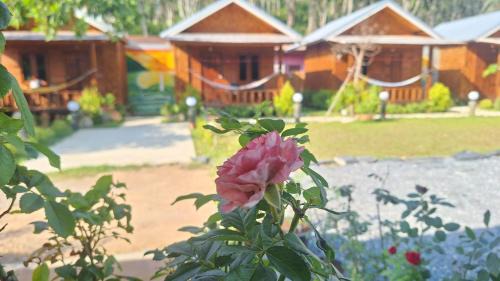 Ko Lanta Hotel | Stay at Lanta Bungalow