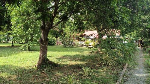 Kep Hotel | Surya Kep - Le Soleil Kep