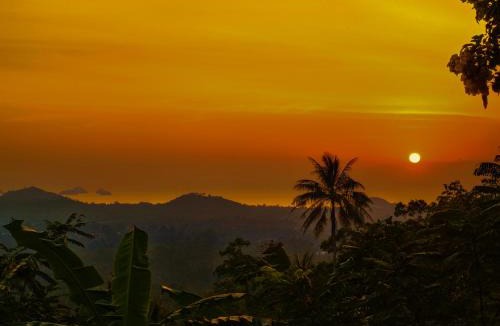 Koh Samui Hotel | SZ Samui Glamping