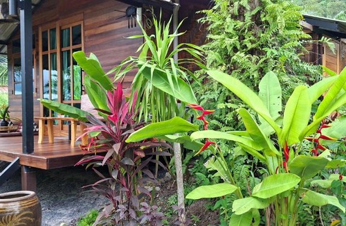 Krabi Hotel | Tee Bungalow in the jungle