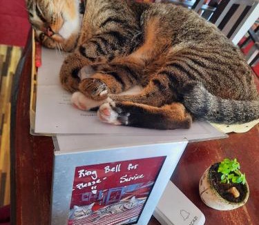 Prachuap Khiri Khan House | ThaiMex Cafe & Homestay Backpackers- Adults Only