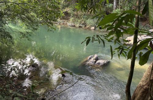 Khlong Sok Other | THANYAWANA Glamping Tents
