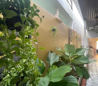 Ban Saiyuan Bed & Breakfast | The Buddha Rawai Villa